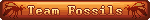 Team Fossils